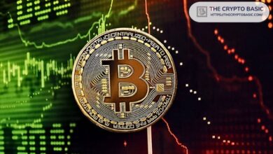 Bitcoin Apunta a $104K: Señales de Crecimiento del MVRV - Cripto Boom