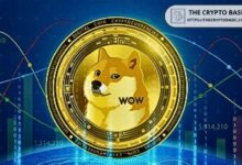 Veterano del Mercado Predice Precio de Dogecoin si Solana Alcanza $1,134 en Este Ciclo Alcista ¡Descubre Más! - Cripto Boom