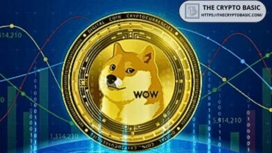 Veterano del Mercado Predice Precio de Dogecoin si Solana Alcanza $1,134 en Este Ciclo Alcista ¡Descubre Más! - Cripto Boom