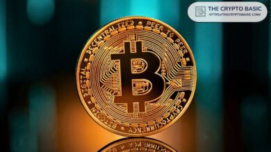 Retroceso de Bitcoin Podría Señalar Oportunidad de Compra a $62K con Potencial de Ganancia del 20% hasta $74K: Análisis - ¡Descubre Más! - Cripto Boom