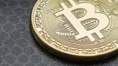 Bitcoin alcanza un nuevo récord por encima de $94K: ¡Descubre la tendencia alcista continua! - Cripto Boom