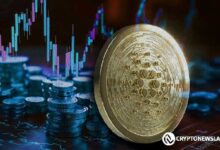 Cardano Revela Nueva Constitución mientras el Precio de ADA Sube un 12% ¡Descubre Más! - Cripto Boom