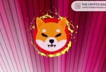 Líder de Shiba Inu Anuncia Nueva Propuesta para el Próximo Presidente de EE.UU. - Cripto Boom