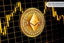 Investigador Principal de VanEck Afirma que Ethereum está Sobrevendido: Predice que el Interés Especulativo Impulsará el ETH. ¡Descubre más! - Cripto Boom