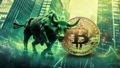 Nuevo Máximo Histórico de Bitcoin: $93,409. ¡Descubre por qué las Probabilidades de Polymarket lo Llevan al 75% para Alcanzar los $95K! - Cripto Boom