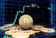 Descubre por qué el próximo objetivo alcista de Bitcoin podría ser $255,000 - Cripto Boom