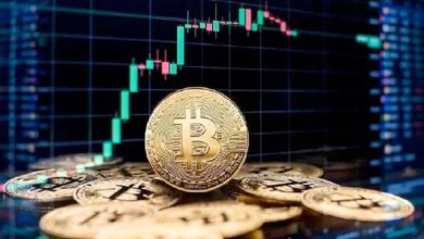 Descubre por qué el próximo objetivo alcista de Bitcoin podría ser $255,000 - Cripto Boom