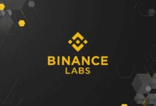 ¡Evita Pérdidas en Estos Cuatro Altcoins! Binance Labs Se Prepara para la Venta. - Cripto Boom