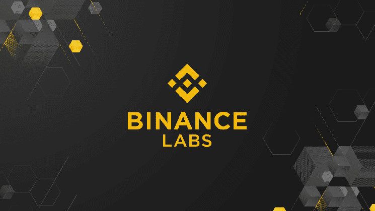 ¡Evita Pérdidas en Estos Cuatro Altcoins! Binance Labs Se Prepara para la Venta. - Cripto Boom