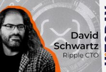 CTO de Ripple Rompe el Silencio sobre el Reciente Paro de la Red Ledger XRP: Descubre los Detalles - Cripto Boom