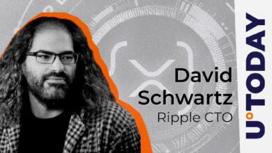 CTO de Ripple Rompe el Silencio sobre el Reciente Paro de la Red Ledger XRP: Descubre los Detalles - Cripto Boom