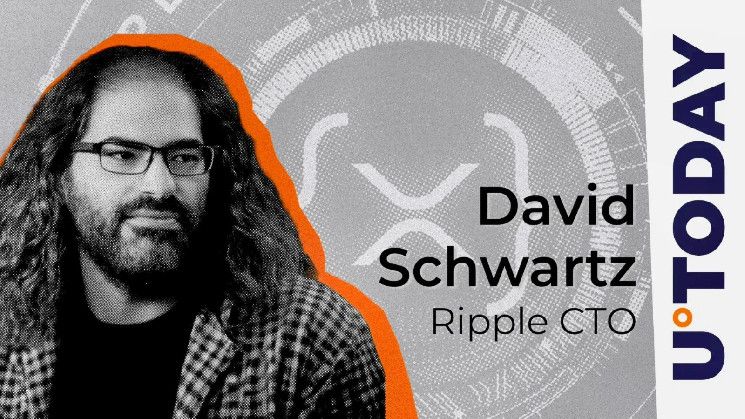 CTO de Ripple Rompe el Silencio sobre el Reciente Paro de la Red Ledger XRP: Descubre los Detalles - Cripto Boom