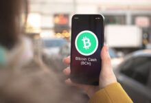 Predicción del precio de Bitcoin Cash: ¿Llegará BCH a superar la resistencia de $500? ¡Descúbrelo ahora! - Cripto Boom