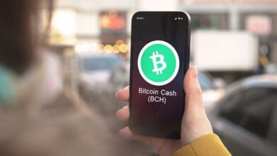 Predicción del precio de Bitcoin Cash: ¿Llegará BCH a superar la resistencia de $500? ¡Descúbrelo ahora! - Cripto Boom