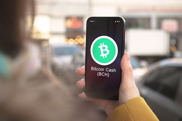 Predicción del precio de Bitcoin Cash: ¿Llegará BCH a superar la resistencia de $500? ¡Descúbrelo ahora! - Cripto Boom