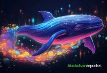 Ballena Cripto Gasta $4.74 Millones en USDC para Comprar 1.42 Millones de Tokens Dogwifhat: Descubre Más en Lookonchain - Cripto Boom