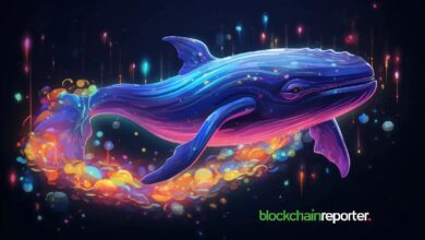 Ballena Cripto Gasta $4.74 Millones en USDC para Comprar 1.42 Millones de Tokens Dogwifhat: Descubre Más en Lookonchain - Cripto Boom