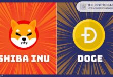 MetaMask Destaca Este Hito de Shiba Inu y Dogecoin: ¡Descúbrelo Ahora! - Cripto Boom