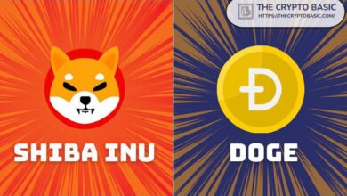 MetaMask Destaca Este Hito de Shiba Inu y Dogecoin: ¡Descúbrelo Ahora! - Cripto Boom