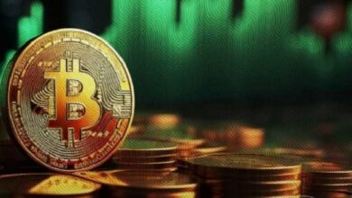 La Volatilidad de Bitcoin: ¿Es Demasiado Impredecible para Inversiones a Largo Plazo? Descúbrelo Aquí. - Cripto Boom