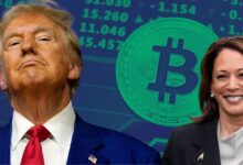 Bitcoin alcanza un nuevo máximo histórico de $75,242 mientras Trump lidera en las elecciones: ¡Descubre más! - Cripto Boom