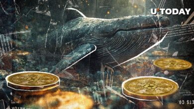 ¡Despertar Masivo de Ballenas de Cardano (ADA)! Descubre la Razón Aquí - Cripto Boom