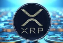 XRP apunta a $0.6640: Ripple CEO predice que Trump destituirá a Gensler en su primer día en el cargo - Cripto Boom