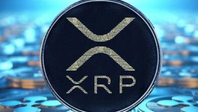 XRP apunta a $0.6640: Ripple CEO predice que Trump destituirá a Gensler en su primer día en el cargo - Cripto Boom