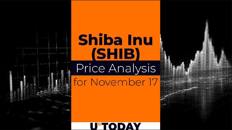 Predicción del Precio de SHIB para el 17 de Noviembre: ¡Descubre lo que te depara! - Cripto Boom