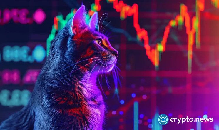 "¡Alerta! El precio de Popcat configura un patrón arriesgado que apunta a una caída del 25%" - Cripto Boom