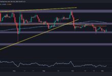 Análisis del Precio de Ripple: ¿Mantendrá XRP los $0.5 tras una Caída Semanal del 3.5%? ¡Descúbrelo! - Cripto Boom