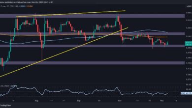 Análisis del Precio de Ripple: ¿Mantendrá XRP los $0.5 tras una Caída Semanal del 3.5%? ¡Descúbrelo! - Cripto Boom