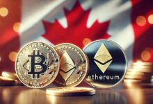 "Descubre el creciente interés de inversores canadienses en el copy trading, según nuevos datos" - Cripto Boom