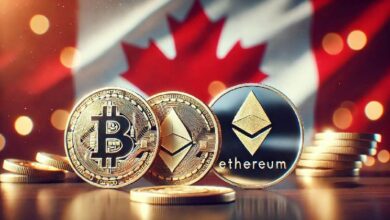 "Descubre el creciente interés de inversores canadienses en el copy trading, según nuevos datos" - Cripto Boom