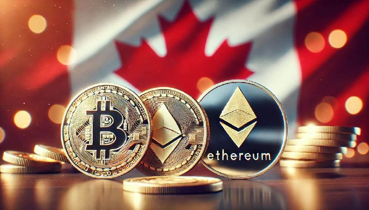 "Descubre el creciente interés de inversores canadienses en el copy trading, según nuevos datos" - Cripto Boom