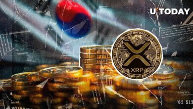 ¡Retiro Misterioso de $800 Millones en XRP Sorprende a Importante Exchange Surcoreano! Descubre Más Ahora - Cripto Boom