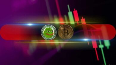 Precio de Bitcoin Volátil a $91K, PEPE Se Desploma un 7% Diario: ¡Explora el Mercado Ahora! - Cripto Boom