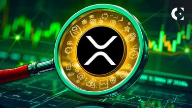 La Ventaja de XRP: ¿Qué Diferencia a Esta Criptomoneda? Descúbrelo Aquí! - Cripto Boom