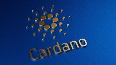 ¡Cardano Hace Historia con su Primer ZK Smart Contract! Descubre los Detalles - Cripto Boom