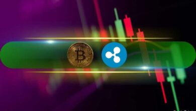 Ripple (XRP) Despierta con Surge Diario del 12%, ¡Bitcoin (BTC) Toca Brevemente los $90K! (Análisis del Mercado) - Cripto Boom