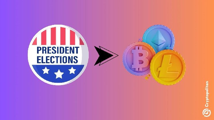 Descubre: Actividad en los intercambios de criptomonedas tras la elección presidencial en EE. UU. y el renovado interés de los inversores - Cripto Boom