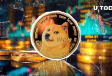 Fundación Dogecoin: Estamos 'Trabajando Arduamente' en Este Proyecto Clave ¡Descúbrelo! - Cripto Boom