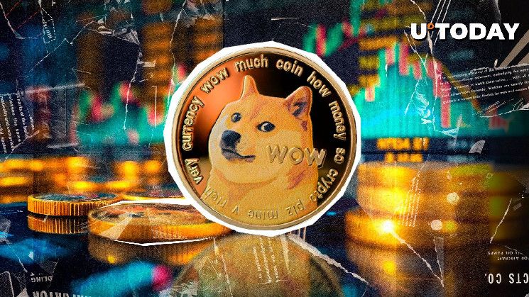 Fundación Dogecoin: Estamos 'Trabajando Arduamente' en Este Proyecto Clave ¡Descúbrelo! - Cripto Boom