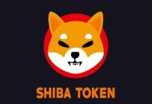 Shiba Inu Alcanza su Pico Mensual — ¿Se Aproxima Otro Rally Récord? Descúbrelo Aquí! - Cripto Boom