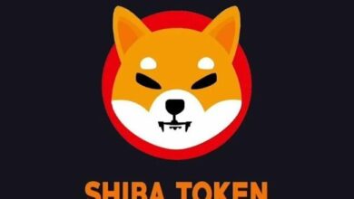 Shiba Inu Alcanza su Pico Mensual — ¿Se Aproxima Otro Rally Récord? Descúbrelo Aquí! - Cripto Boom