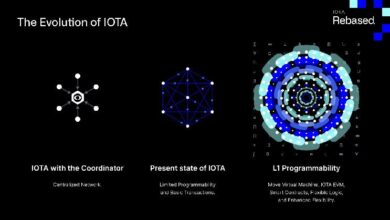 IOTA Rebasado: ¡Acelera el Futuro! - Cripto Boom