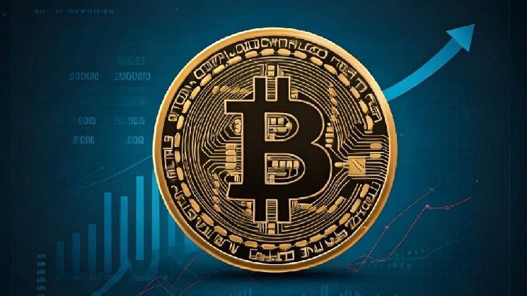 Indicadores Clave Indican que el Rally de Bitcoin hacia $90K y Más Allá es Sostenible: ¡Descubre Más! - Cripto Boom