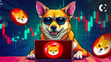 Shiba Inu: ¡Ruptura Inminente con un Aumento del 50% gracias a una Quema del 6200%! - Cripto Boom