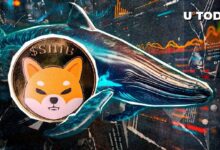 Ballenas de Shiba Inu (SHIB) Apuestan en Grande: ¡Capturan 1.13 Billones de Tokens en 24 Horas! - Cripto Boom