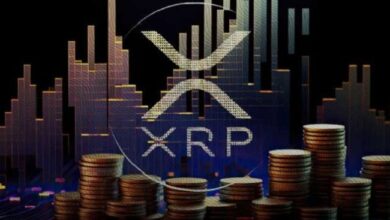 Factores que Impulsan la Especulación sobre el Objetivo de $100 para XRP: ¿Qué Sucederá? - Cripto Boom